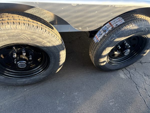 18x82 All Aluminum, 7K GVWR, Tandem Axle - (8218ESA-TA-EL-R-RTD)